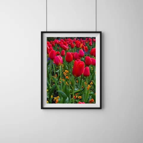 Blooming Elegance at Victoria Gardens framed room view