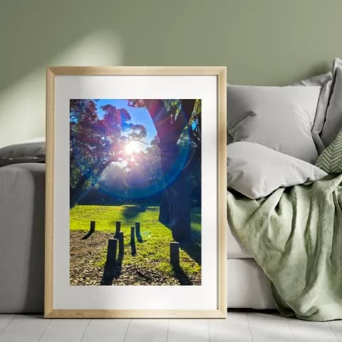 Tranquil Berry Countryside framed room view
